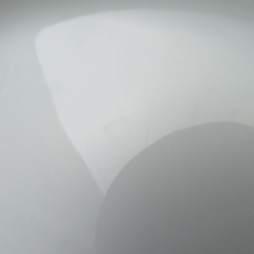 リチャードジノリ