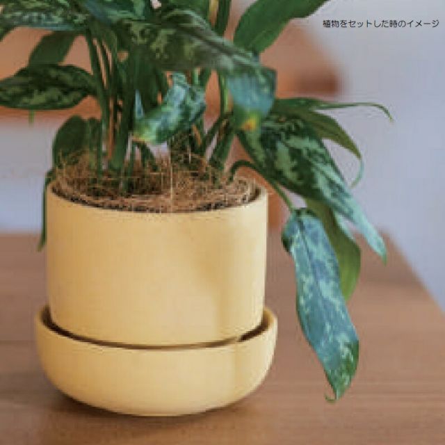 花 観葉植物用ポット フューズ ポット 13 Y Ceramic POT 4個入り 18018 底穴あり 受皿別売り 代引き不可 ミニポット FARM p107 GEBZETESISAT_COM_TR