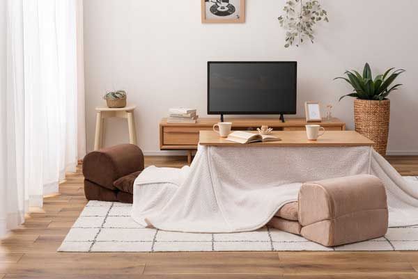 サンゴマイヤーの2wayテレビ枕マット