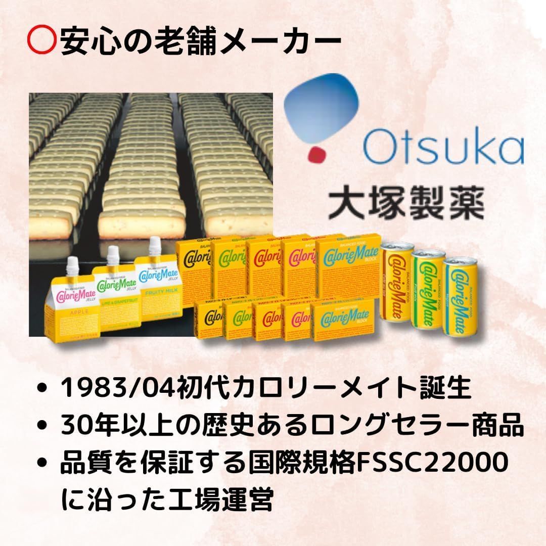 大塚製薬カロリーメイト ブロック4本入（5種×各2箱）合計10箱