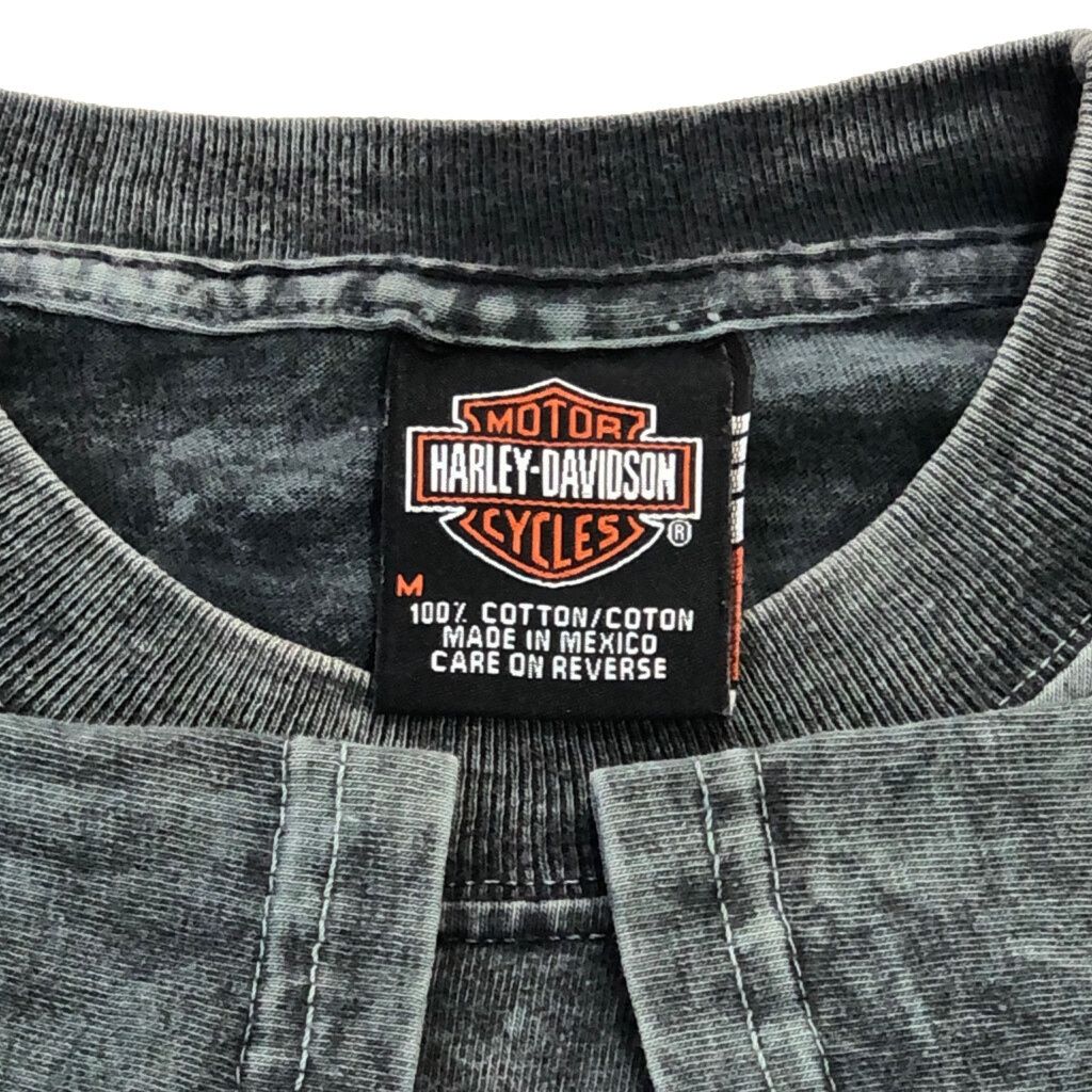 Ｔシャツ