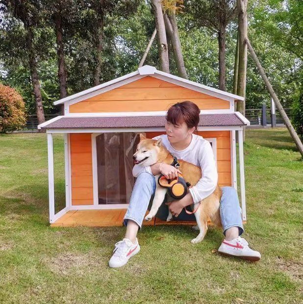 犬小屋 ドッグハウス 室外 ペットハウス 屋外 木製 大型犬用 超大型犬用 犬小屋 ホームタウン ドッグ おしゃれな犬寮 犬屋 テラ