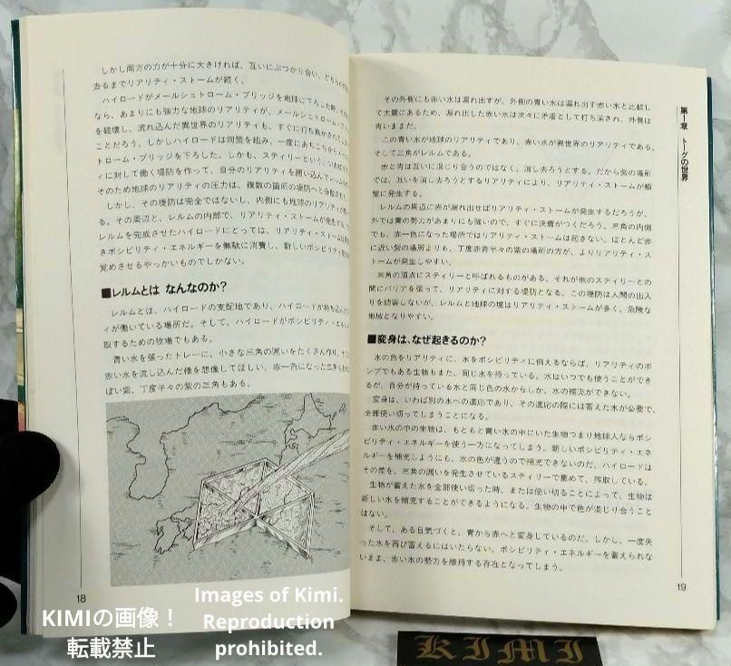 希少 初版 トーグガイドブック 単行本 1994 細江 ひろみ 山北篤 新紀元 