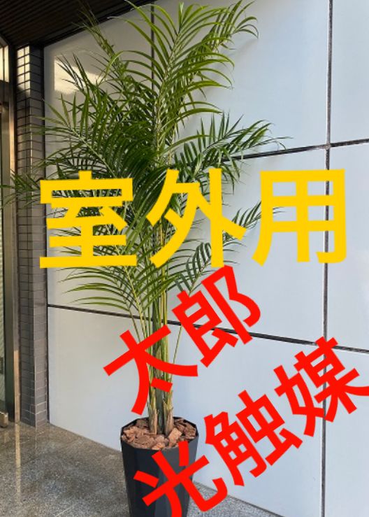 光触媒 人工観葉植物 ウォールグリーン フェイク フラワ 室外用アレカヤシ