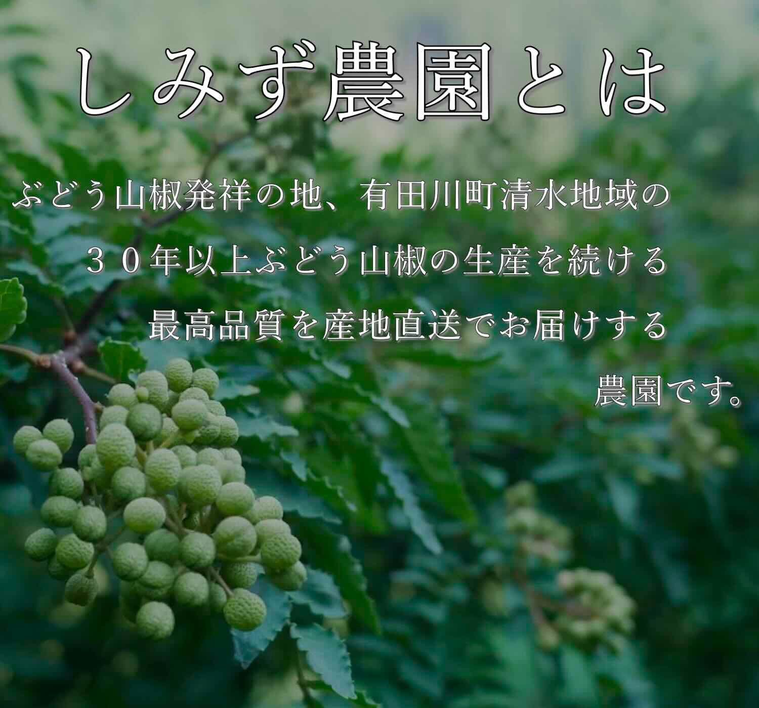 紀州ぶどう山椒