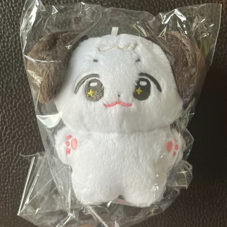 ボイネク 10cm ジェヒョン ぬいぐるみ 新品 マスター boynextdoor