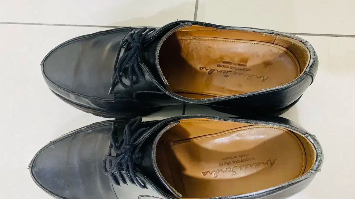 アンドレス サンドラ