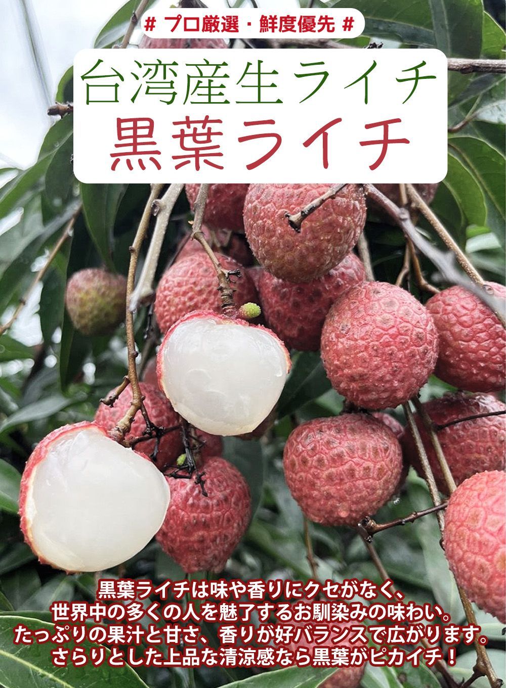 トロピカルフルーツ TaiwanLitchi