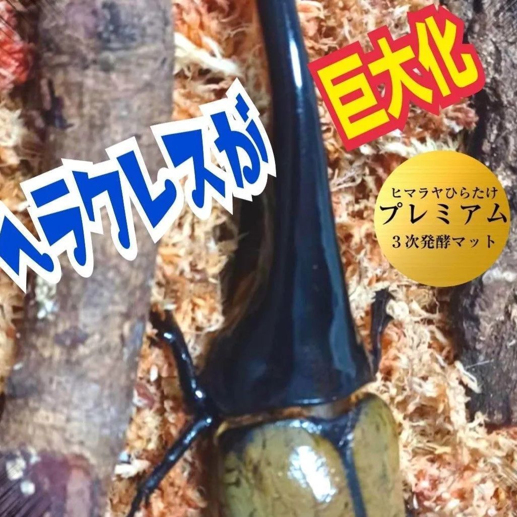 ヘラクレスに抜群!極上☆プレミアム発酵カブトムシマット【6袋 ヘラクレスに抜群!極上☆プレミアム発酵カブトムシマット【6袋