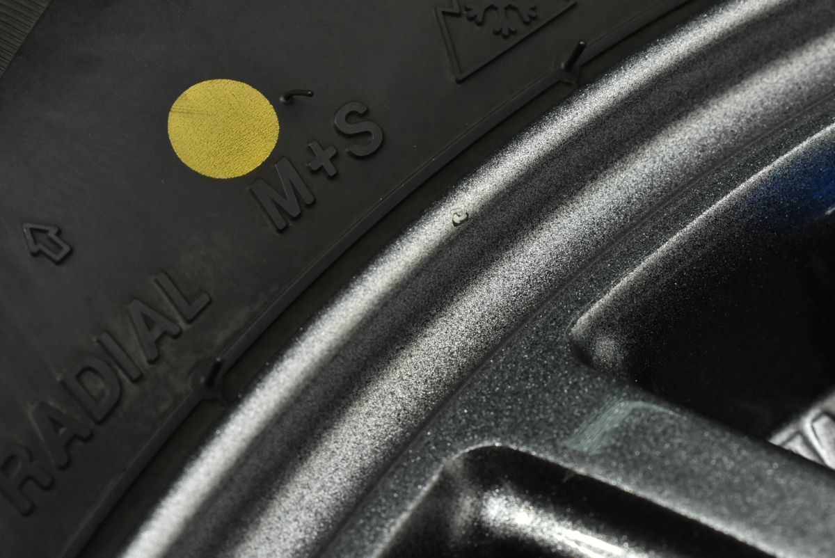 ロクサーニスポーツ 14in