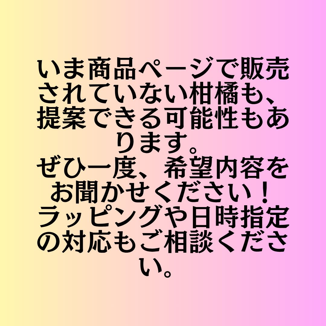 オーダーメイド柑橘食べくらべ3つ星セット