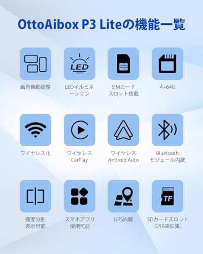 Disney 等が観れる