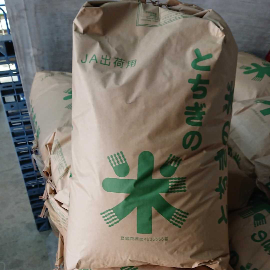 コシヒカリ 玄米20キロ 令和6年栃木県産 とちぎの米 新米 コシヒカリ 玄米20キロ 令和6年産 栃木県産 とちぎの米（令