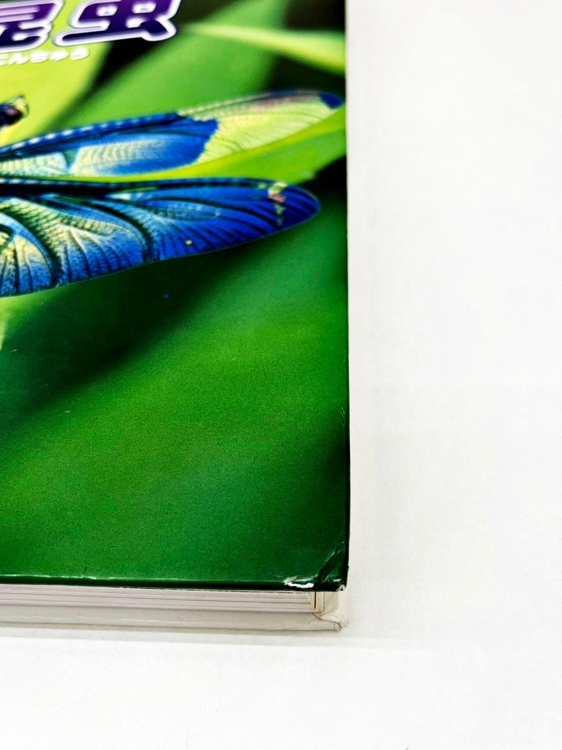 ニューワイド　学研の図鑑　18巻セット m88829511799_1.jpg?1754870277