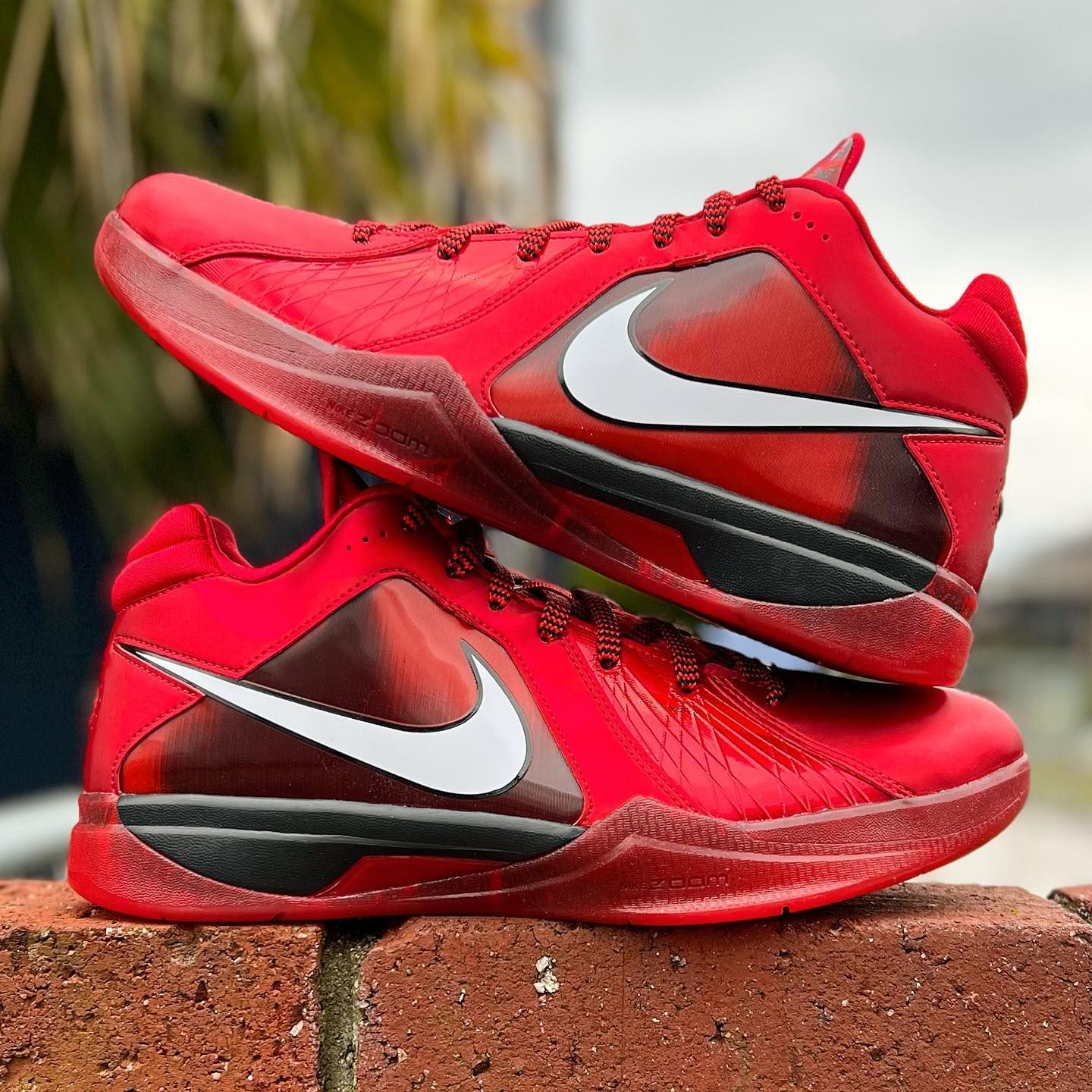 Kd all red best sale