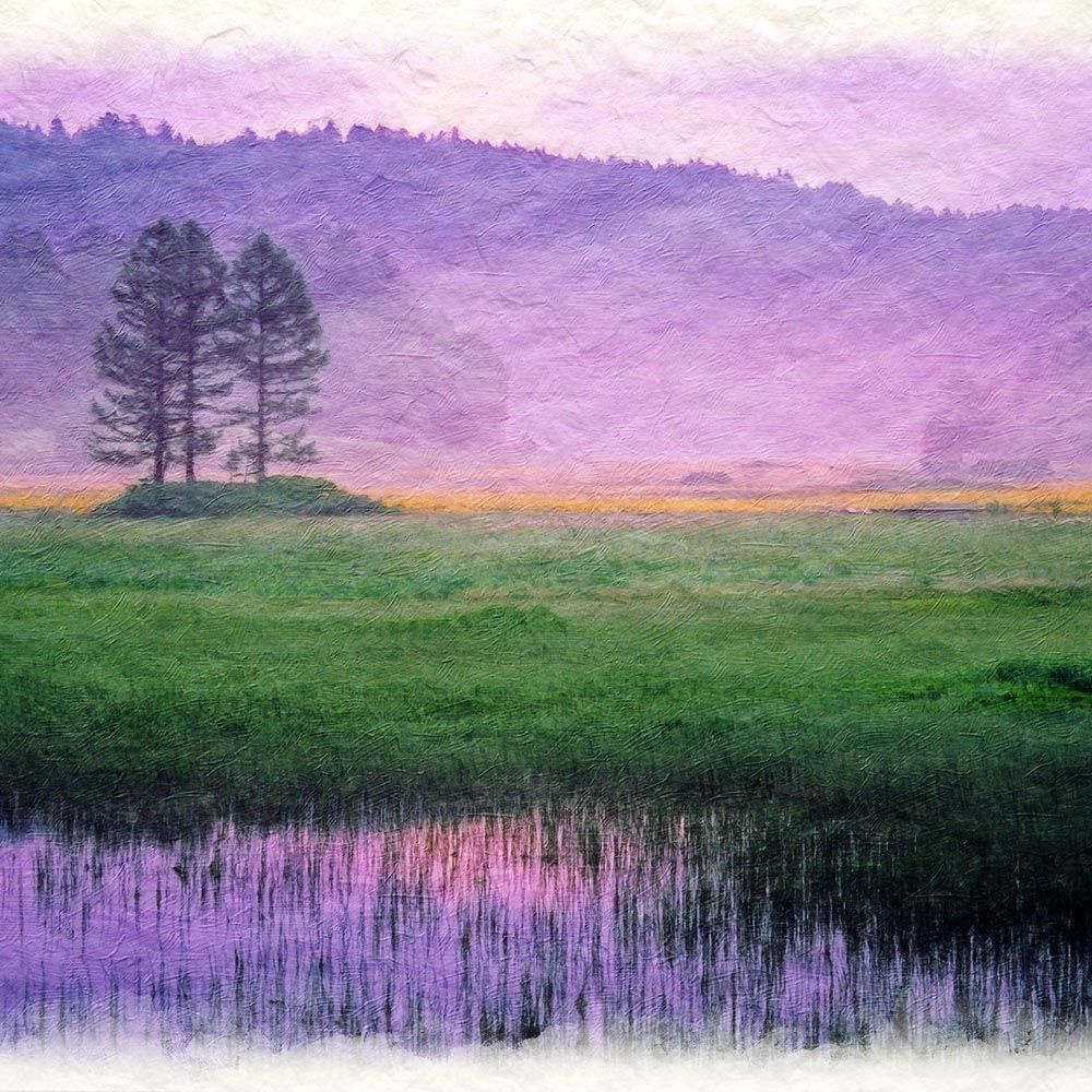 和紙の絵写真 「朝霧のニッコウキスゲの湿原」 パネル付き 48x33cm