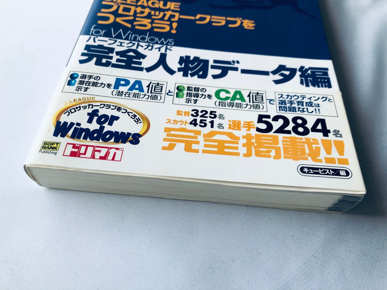パーフェクトガイド