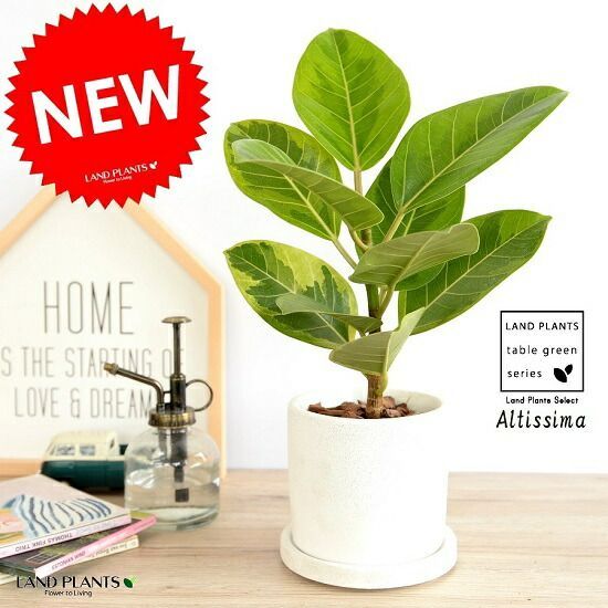 激レア品！テンダーロイン 渋谷店限定 MIX JERSEY BLACK M