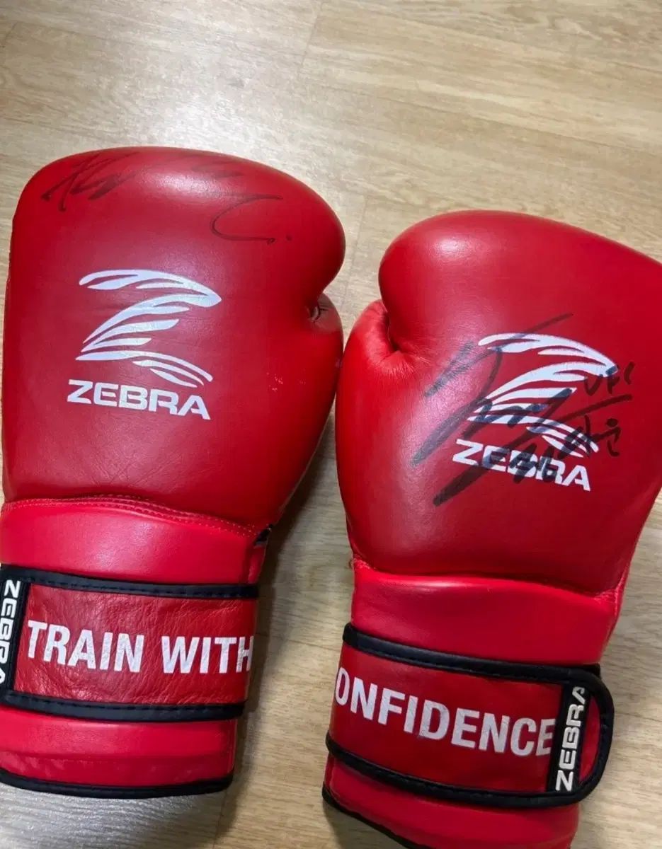 WINBOXING ボクシング グローブ 赤青光沢仕上げ WINBOXING ボクシング