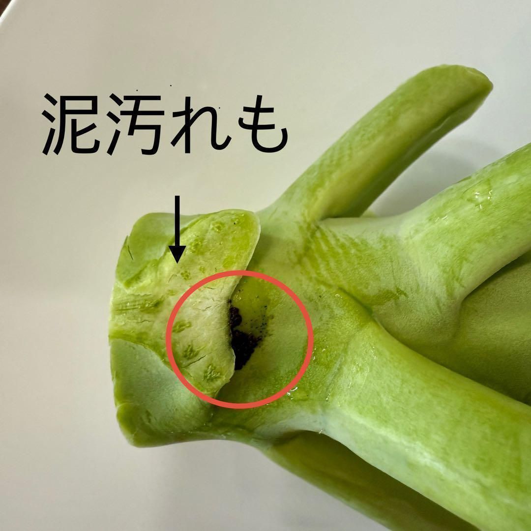 自然栽培 小梅 完熟 850g 小梅は全国的に残りわずか 急いで