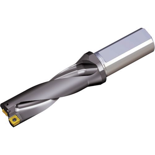 内径加工用 スクリューオン式ディンプルバー クーラント穴あり右勝手超硬防振バー FSCLP2220R-09E-1/2 三菱 内径加工用 スクリューオン式ディンプルバー クーラント穴あり右