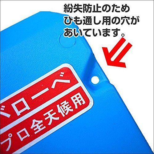 クサビ
