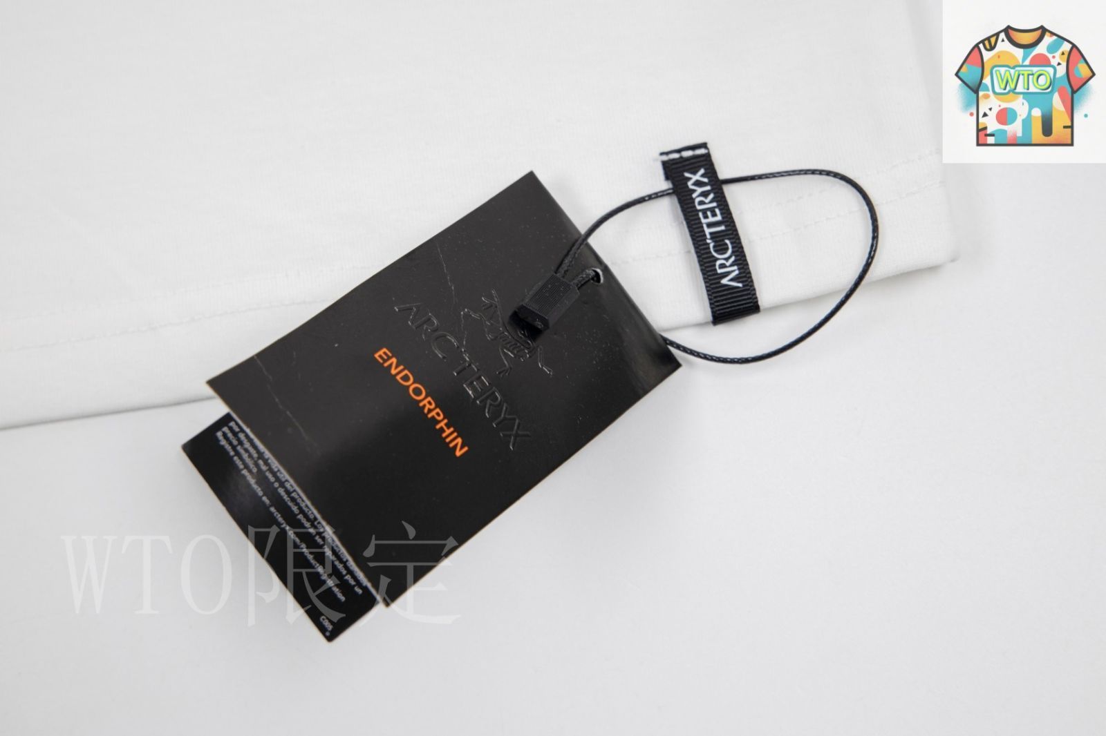 今日WTO】Ayc Teryx 2025FW 小鳥ロゴプリント T-GM25 - メルカリ