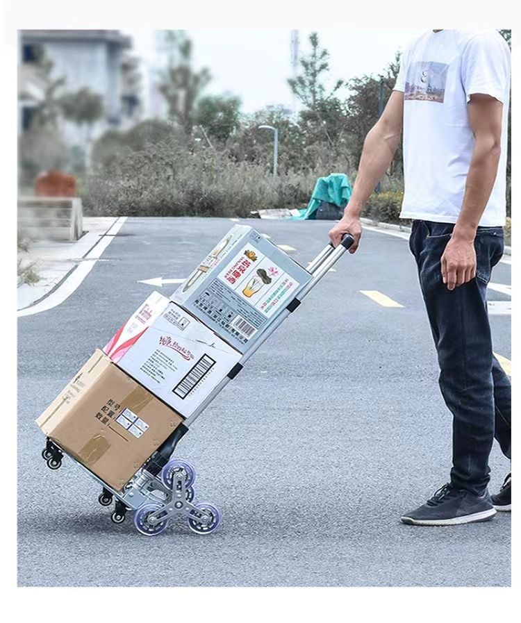 お値段見直しました！ CONDE HOUSE (カンディハウス) Bols (ボルス) 2