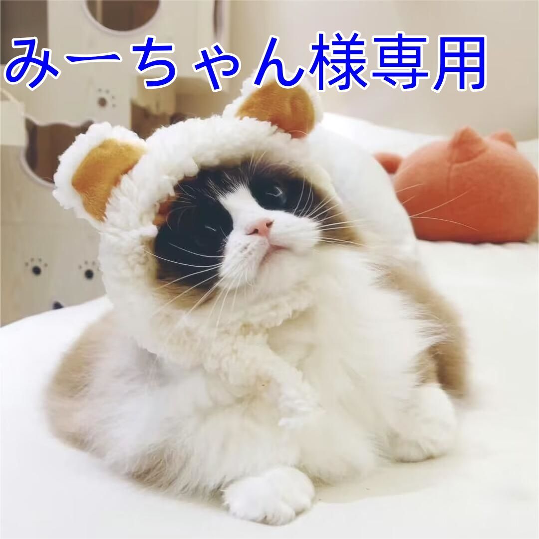 みー様専用です みいページです。 ゼクス Z/X ねこまんま様 専用