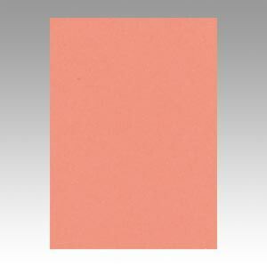 （まとめ） 色画用紙 文運堂 ニューカラーＲ サーモン 4NCR-127 4954022641276 1冊【×5セット】