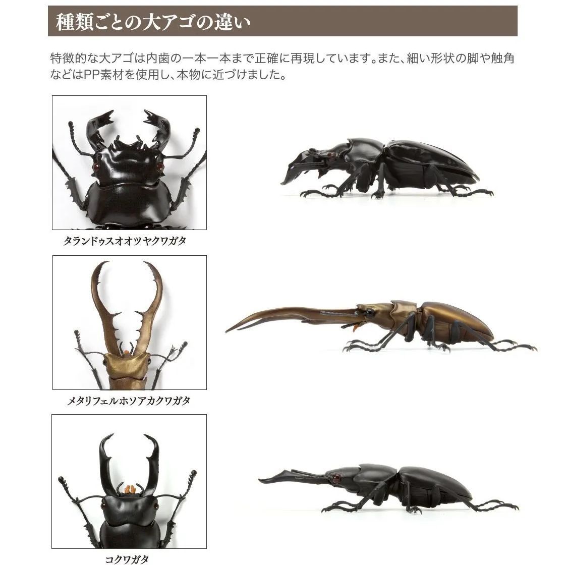 BANDAI いきもの大図鑑くわがた04 - メルカリ