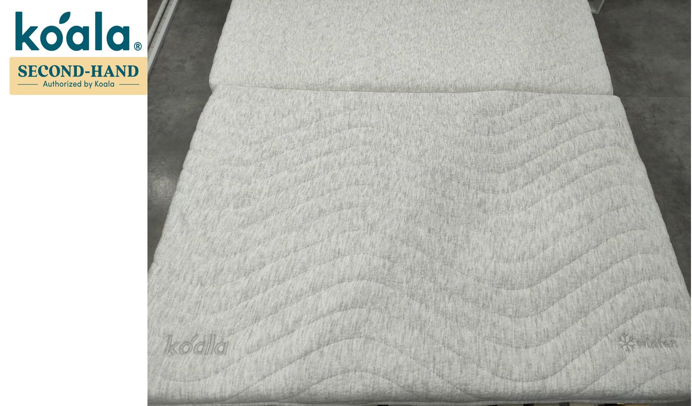 たいが　コアラフトン OASIS シングル② コアラフトン OASIS