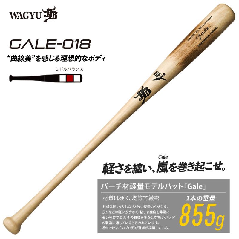 和牛JB バーチ材硬式木製バット Gale ゲイル 野球 軽量 中学硬式 高校 大学社会人 22FW GALE018