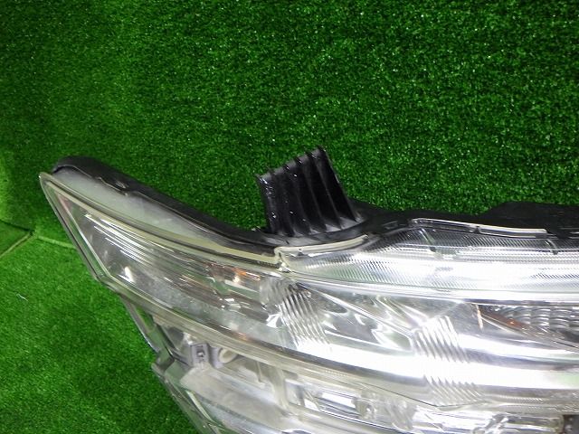 ファッション エルグランド ヘッドライト左右 HID E52 前期 PNE52 100