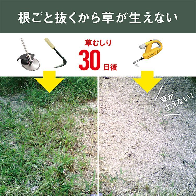 草抜き 根こそぎ