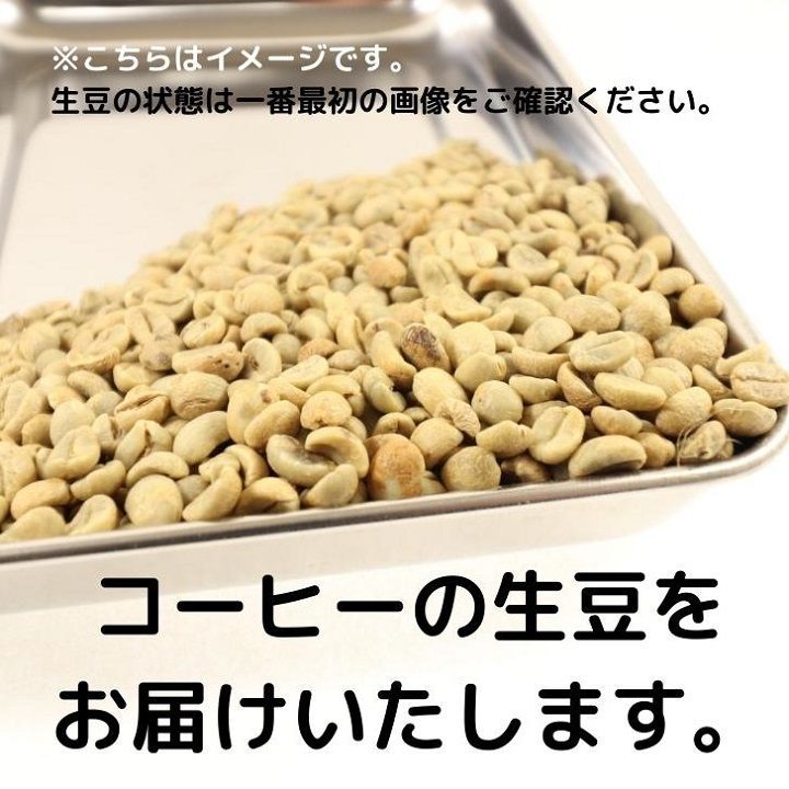 コーヒー生豆 ロブスタ AP-1 1kg-1