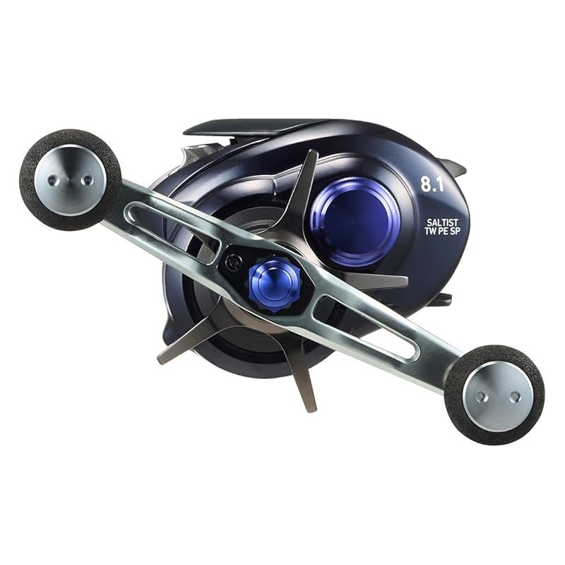 フィッシング DAIWA 23SALTIST BF TW PE SP 8.1 ソルティスト