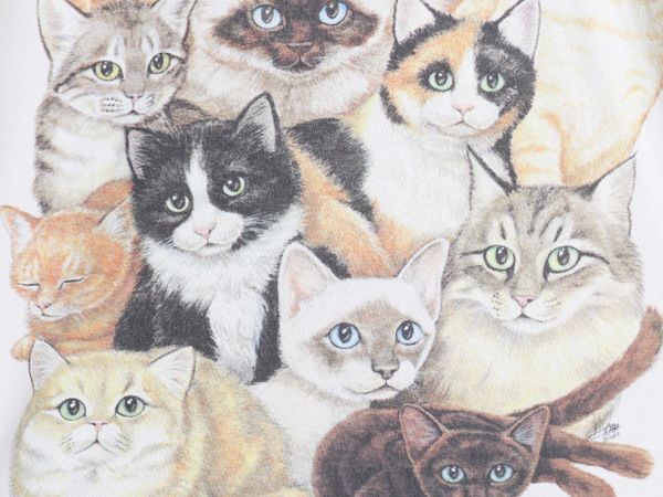 お得なクーポン配布中!】 90s USA製 ネコ アート イラスト プリント