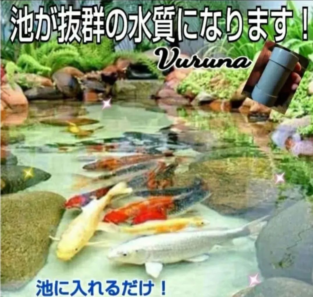 池の水質が抜群になります！【ヴァルナ池用】錦鯉の飼育者絶賛！病原菌や感染症など有害物質を抑制し透明度が抜群になります☆色艶もアップ！ 池に筒を入れるだけ！5年キープ！  - メルカリ