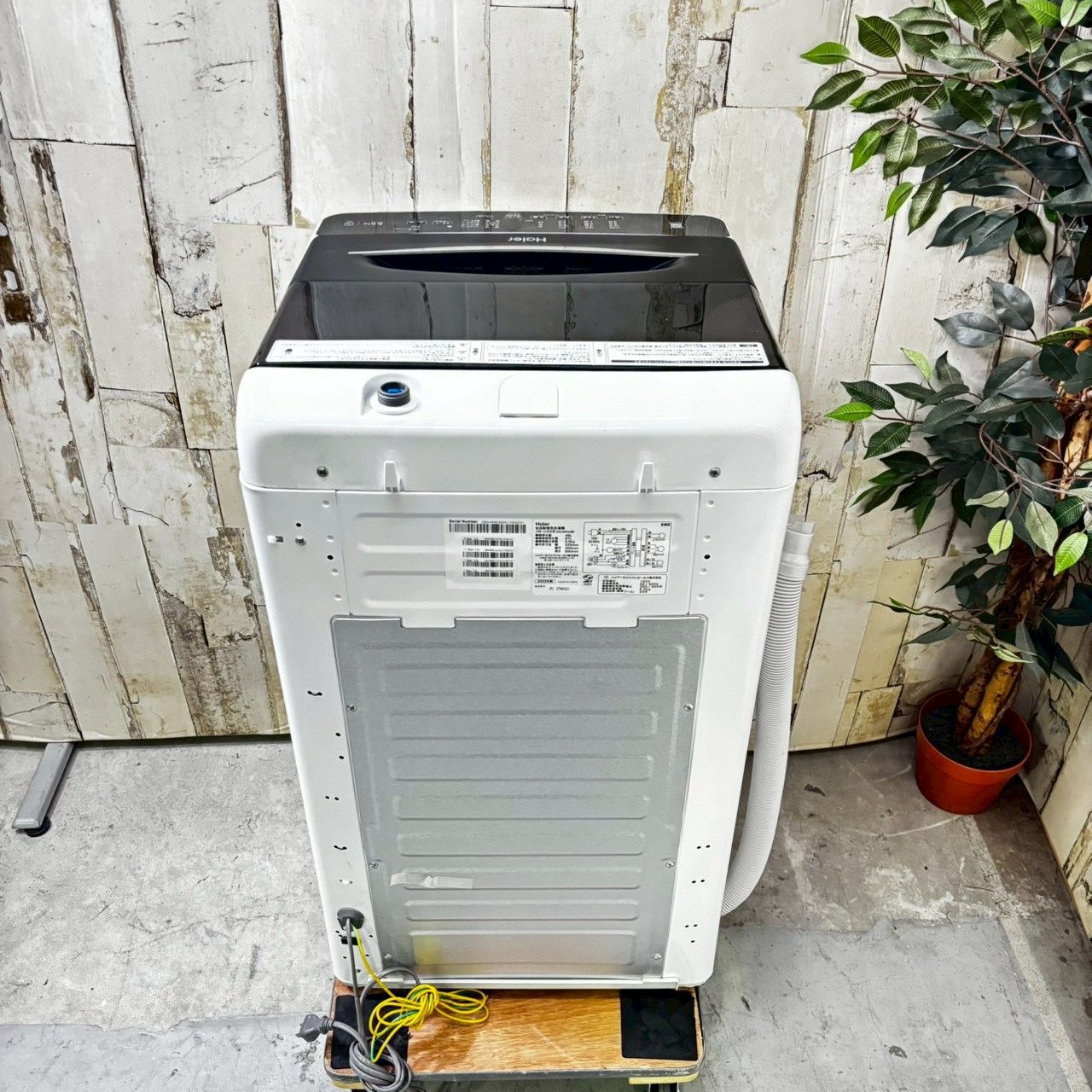 2023年製】Haier ハイアール JW-U55B 洗濯機 5.5kg - メルカリ