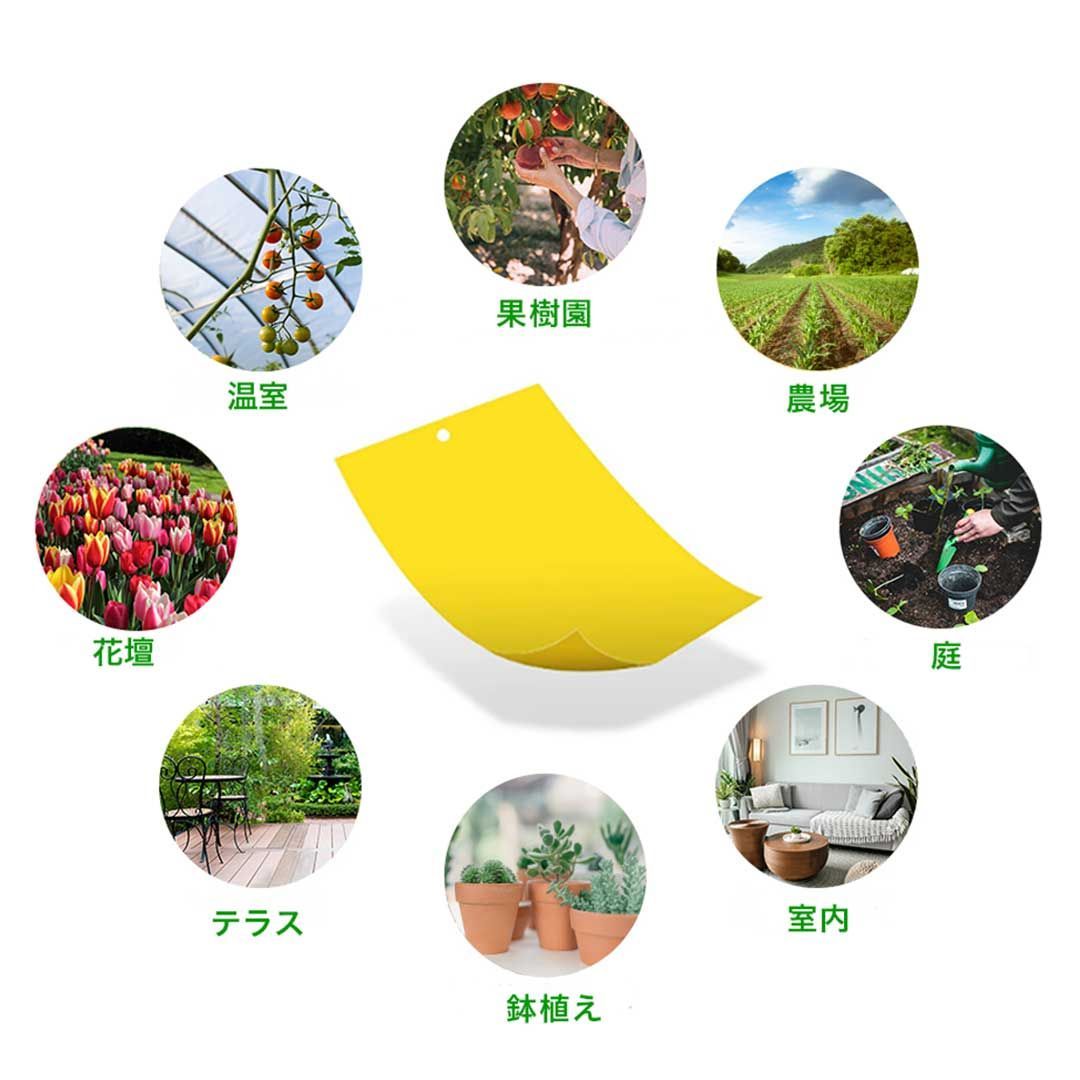 田んぼ 虫除け