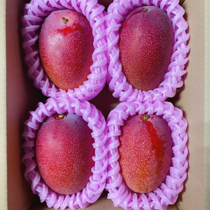 宮崎県産 完熟マンゴー 3.5kg バラ詰め 宮崎県産 完熟マンゴー 自家用 バラ