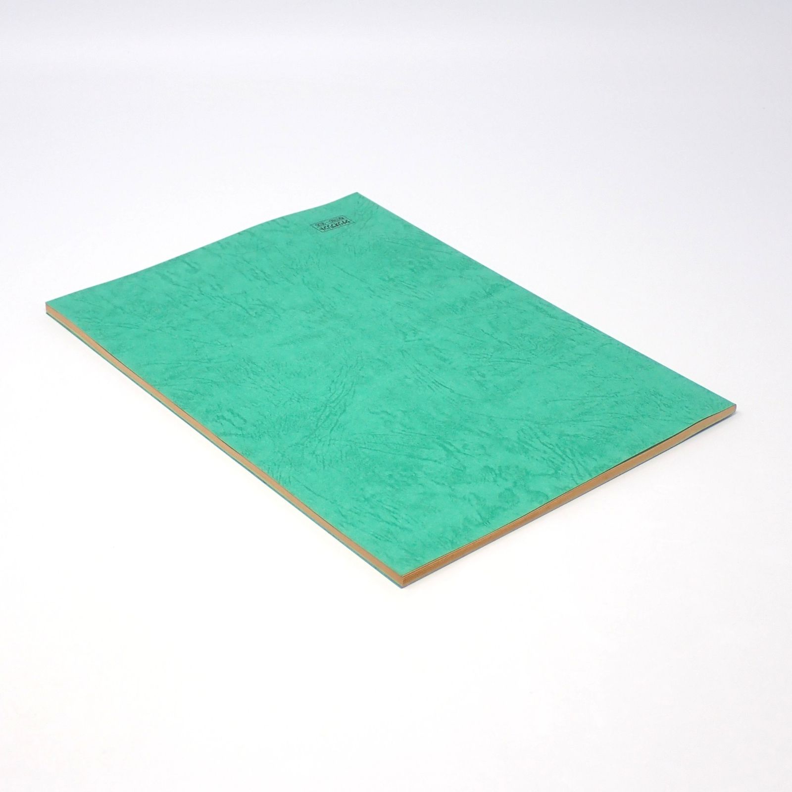 台本 ウルトラマンティガ 第1話 光を継ぐもの 決定稿Ⅱ 円谷プロ 長野