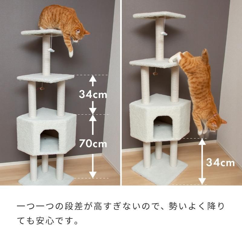 子猫 爪とぎ