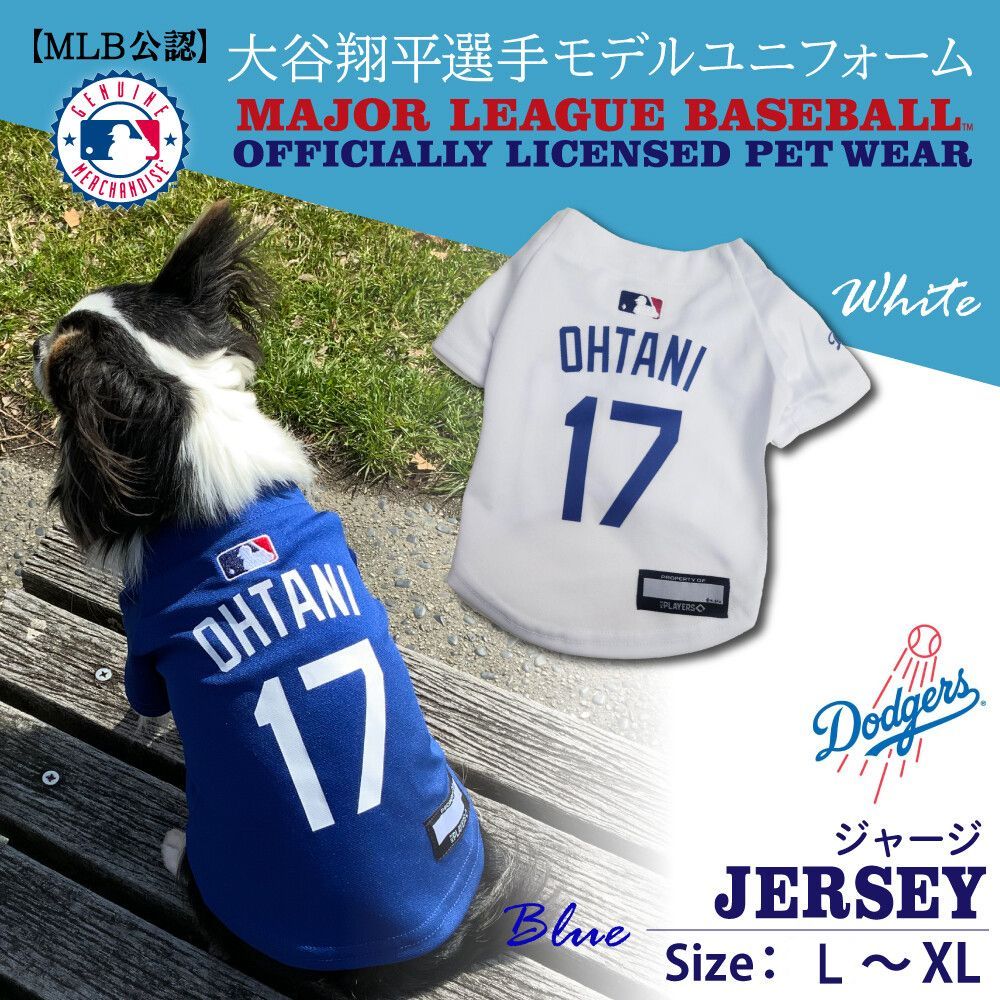 スペイン製 高級犬用リードと首輪セットBaseballGrey (小型・中型犬