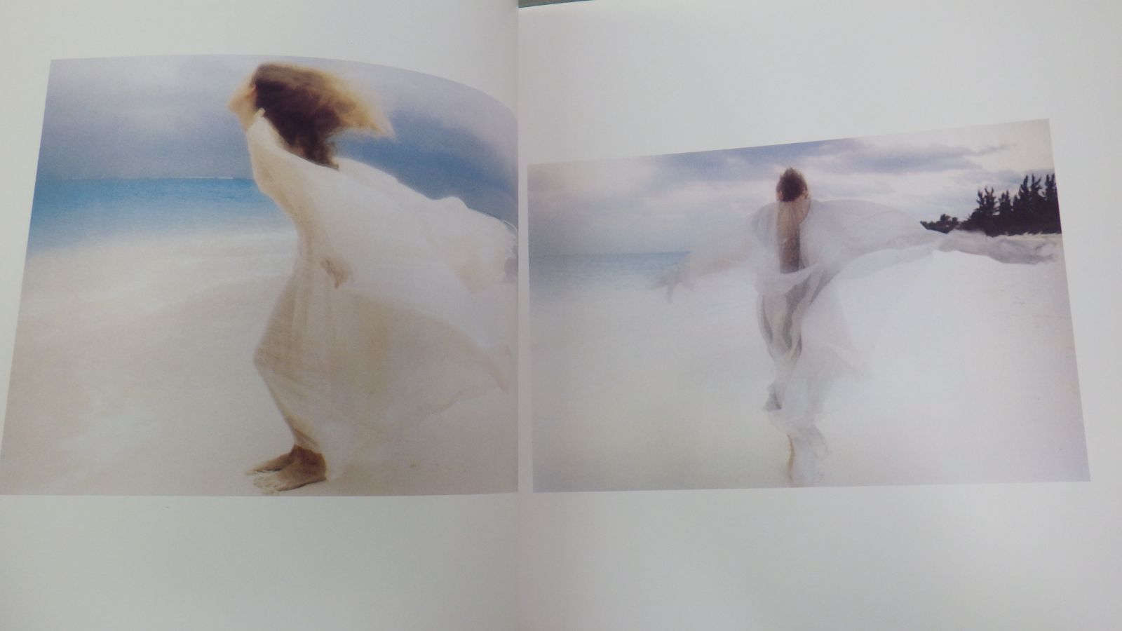 アート・デザイン・音楽 David Hamilton Jardin Secret DAVID HAMILTON JARDIN SECRET/1981年発行/デビッド・ハミルトン
