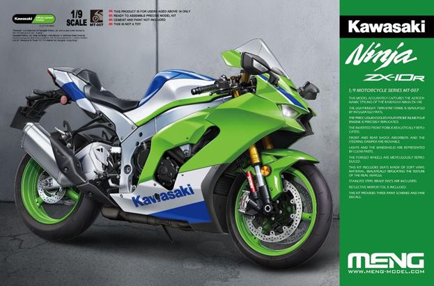 1 9 カワサキ Ninja ZX-10R