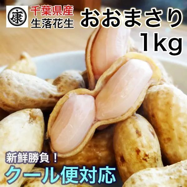 ゆで落花生用 生落花生おおまさり 1kg　令和6年産  洗浄済