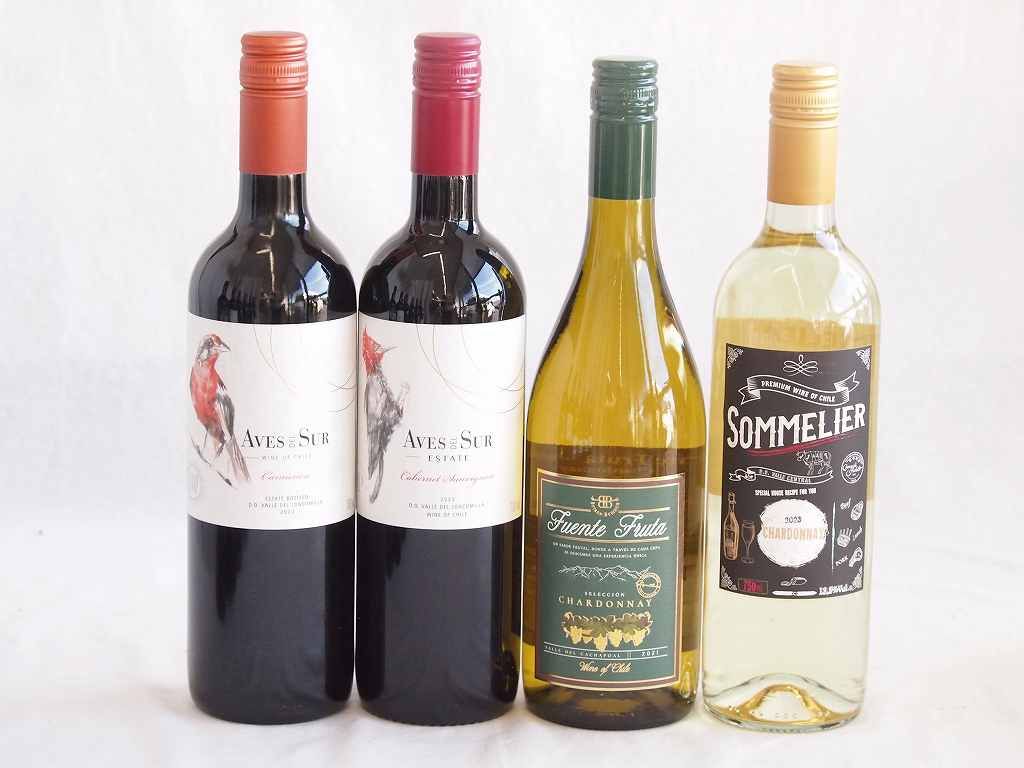 Virtues monica AssHシグネイチャーモデル