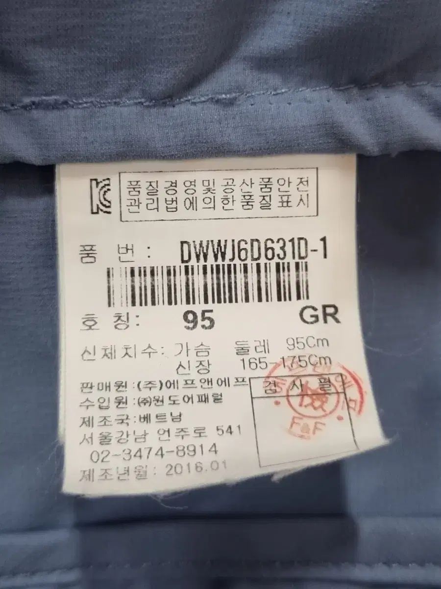 レディース